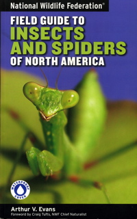 A Field Guide To Insects America North Of Mexico